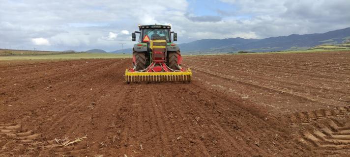 Campos experimentais testam pastagens resistentes a doenças e alterações climáticas