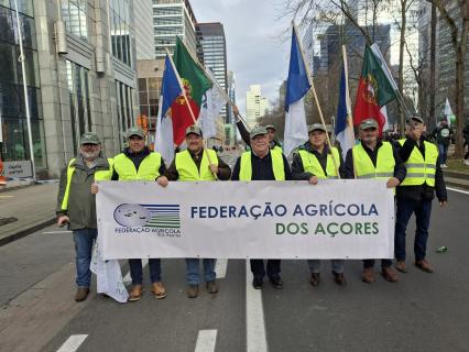 Agricultores dos Açores manifestam-se em Bruxelas