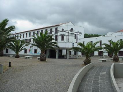 Governo congratula-se com atribuição do selo protetor a escolas