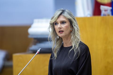 Parlamento dos Açores agiliza apoios à entrada de novos imigrantes na região