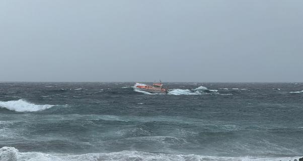 Retomadas buscas por homem desaparecido na Madalena do Pico