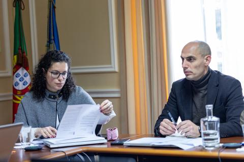 PS/Açores reitera acesso a documentação da privatização da Azores Airlines