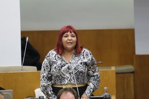 Chega/Açores defende centros de apoio à vida independente e transparência administrativa