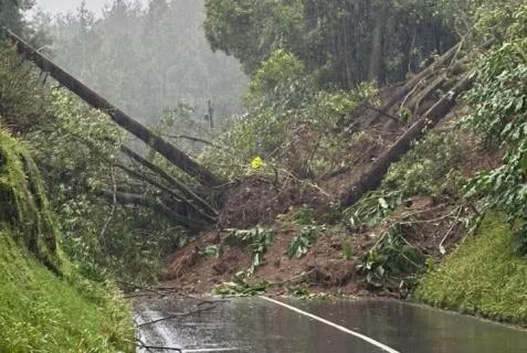 Câmara e Juntas denunciam condições da “estrada mais perigosa dos Açores”