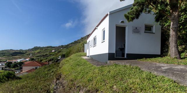 Centros de Reabilitação acolheram mais de 250 aves em 2025