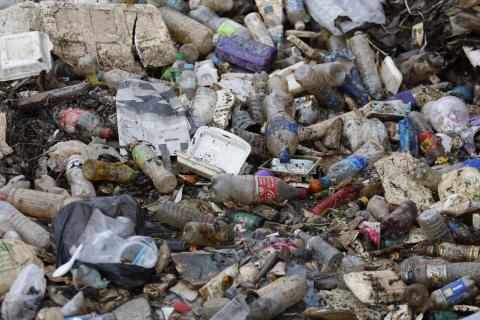 Açores recolhem mais de 115 mil quilos de lixo em ações costeiras e subaquáticas