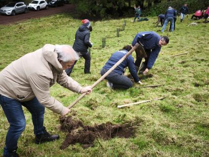 CAF planta 30 árvores para diminuir a pegada ambiental 