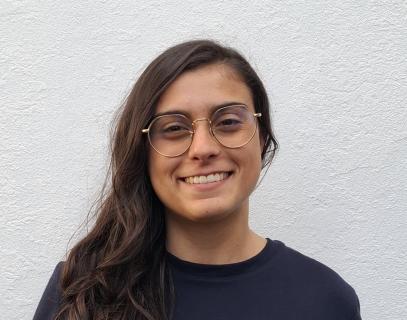 Menos estudantes açorianos no Erasmus devido a dificuldades económicas