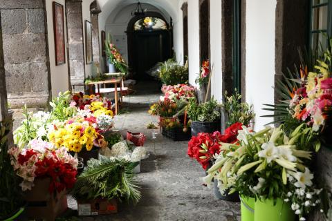 A corrida das flores e dos voluntários no Senhor Santo Cristo (Com Fotos)