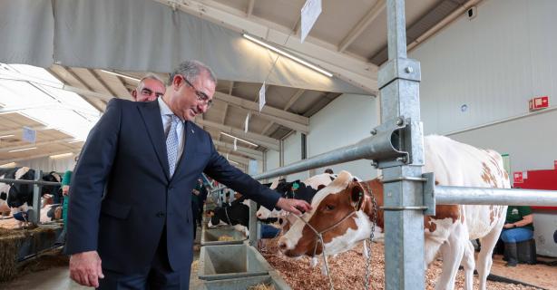 Bolieiro diz que usou "dureza das palavras" para reivindicar apoios para agricultores açorianos