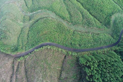 Açores lideram em ambiente mas registam um dos piores resultados globais