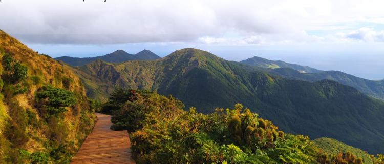 Trilho entre Graminhais e Pico da Vara requalificado