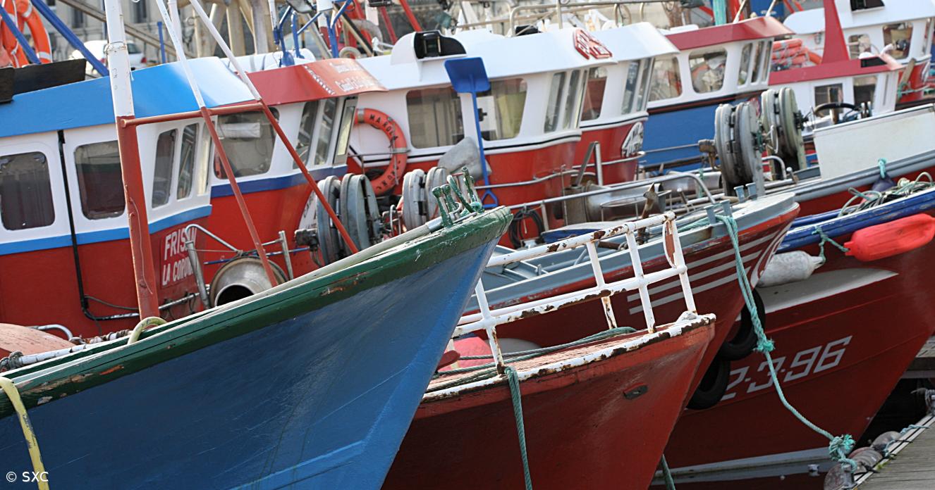 Açores aprovam novas regras para motores dos barcos de pesca da região