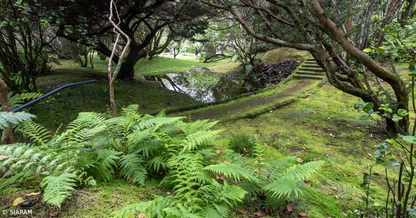 Quatro décadas a preservar a natureza dos Açores