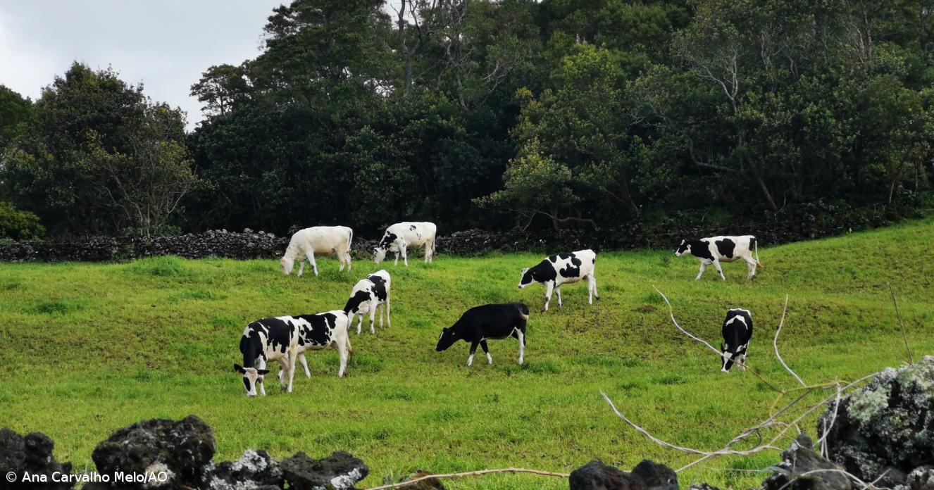 Agricultor recebeu por produção baixa e para produzir menos