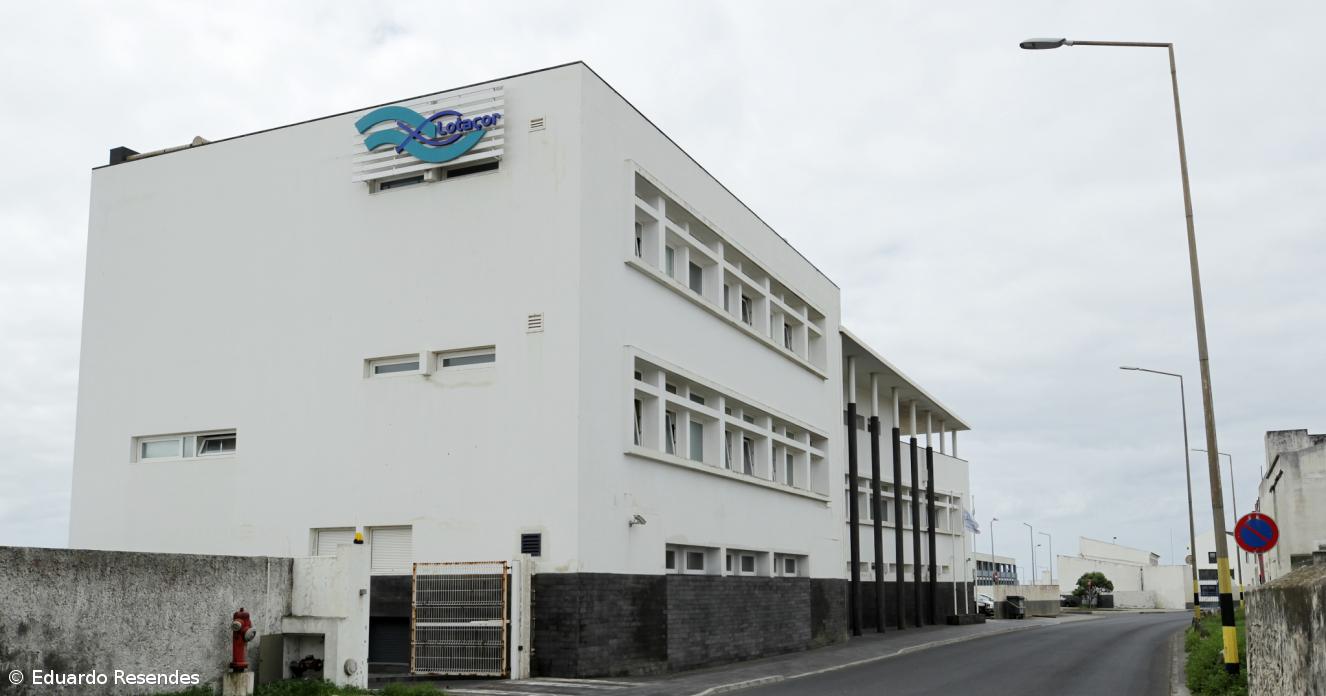 Empresa que gere lotas nos Açores nega ter criado novas regras para armadores