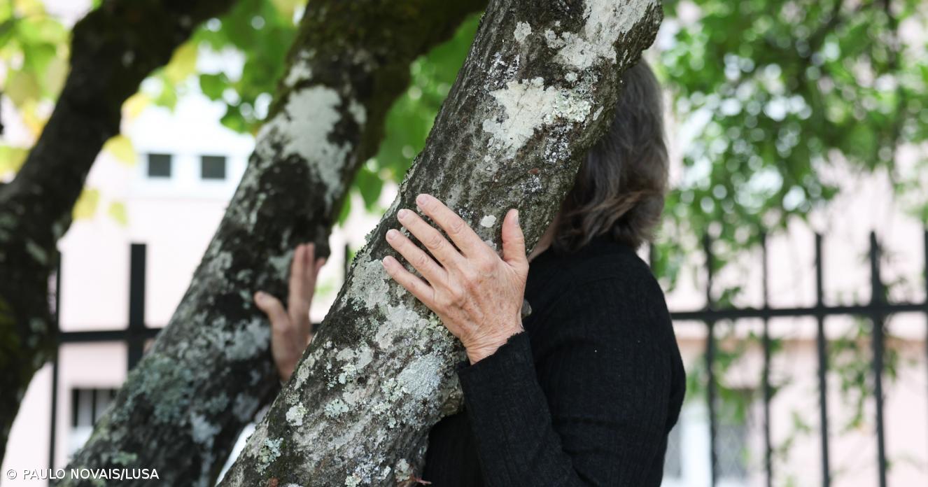 APAV apoiou 367 vítimas nos Açores em 2025