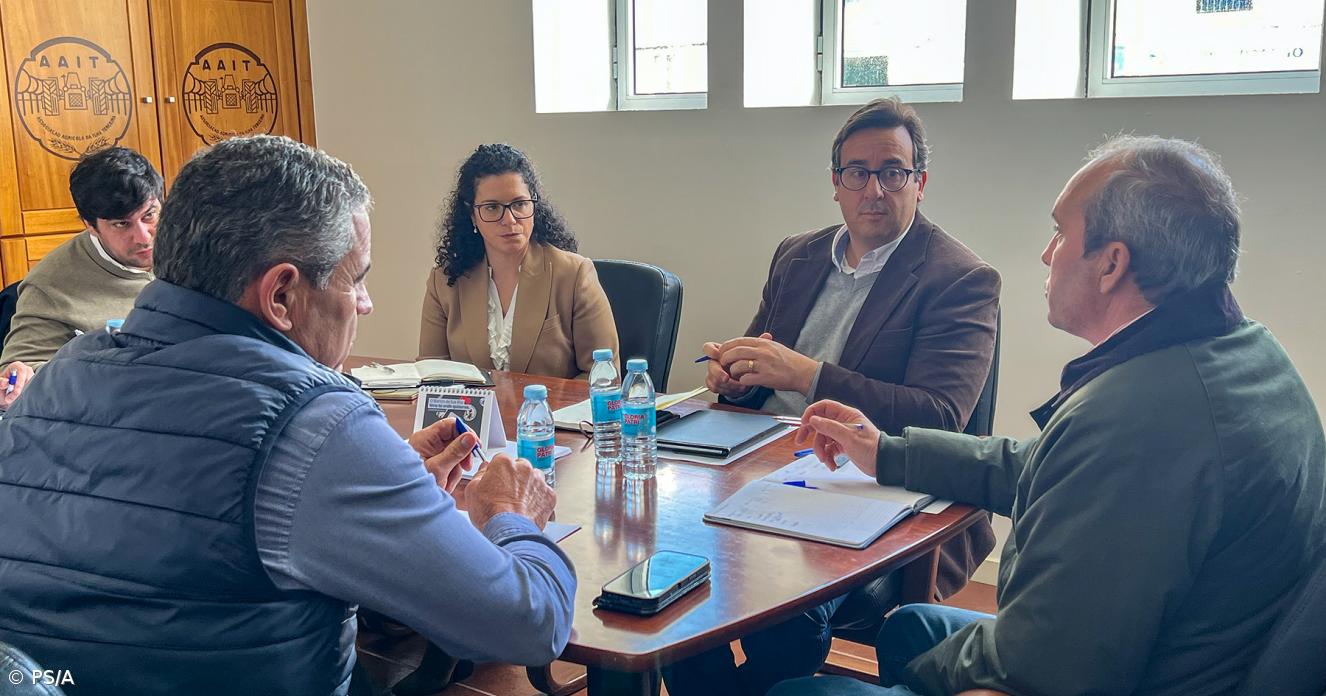 PS/Açores defende "frente unida" para proteção da agricultura açoriana