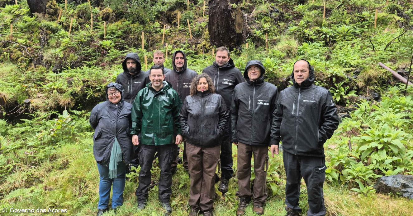 Projetos LIFE são aposta “estratégica” na proteção dos recursos dos Açores 