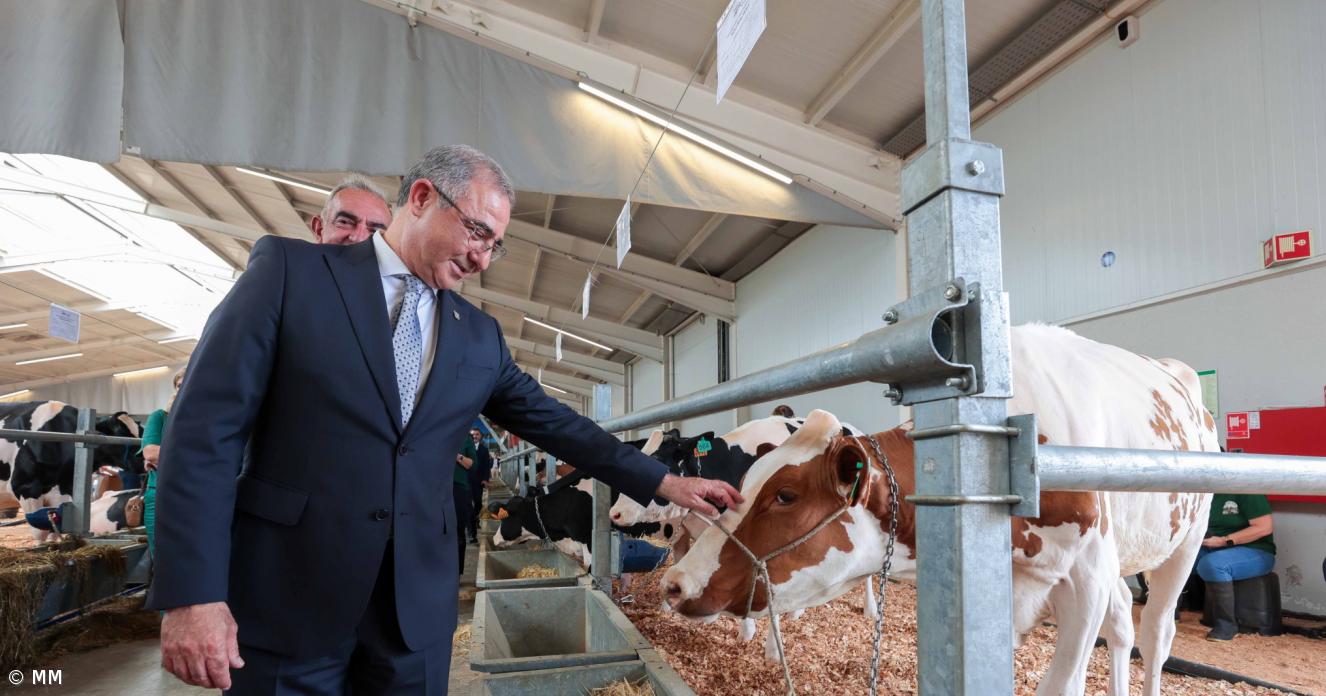 Bolieiro diz que usou "dureza das palavras" para reivindicar apoios para agricultores açorianos
