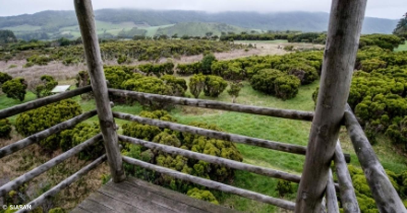 Alterações climáticas obrigam a mais cuidados