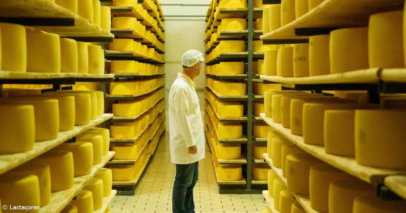 Queijo de São Jorge enfrenta crise de crescimento